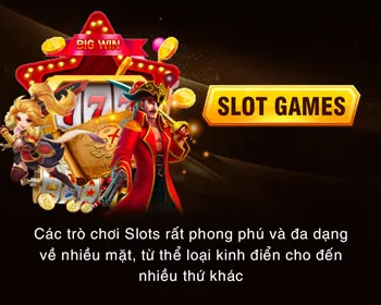 Chương Trình VIP twin đăng ký